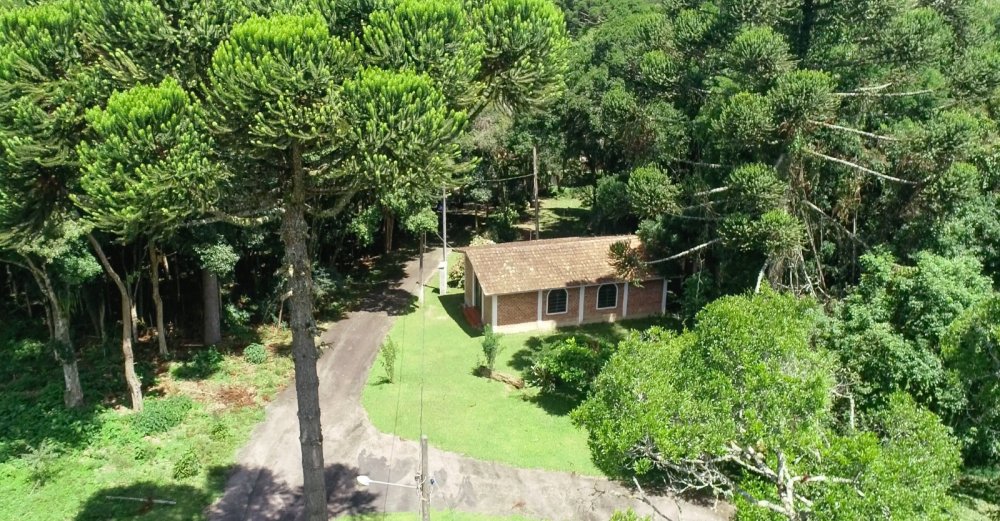 Chácara - Venda - Roça Velha - São Jose dos Pinhais - PR